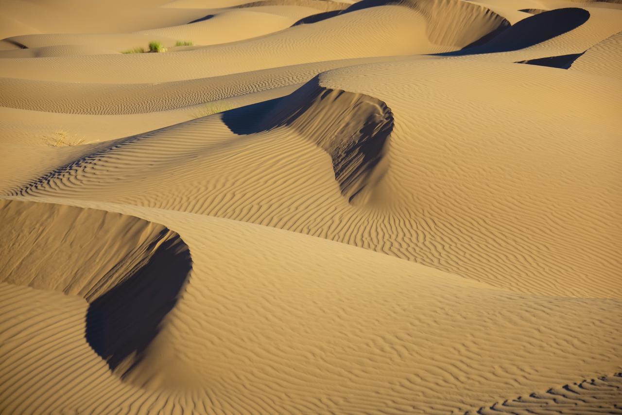 Bivouac La Dune Blanche M'Hamid Esterno foto